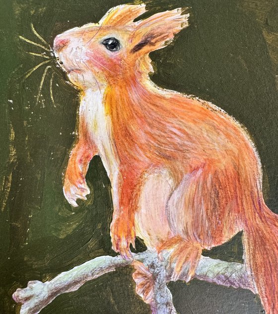 Squirrel
