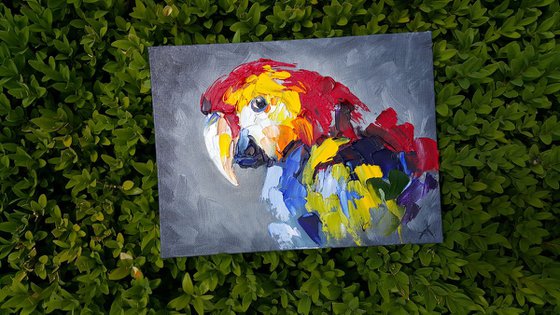 Сolored parrot -  bird, parrot, painting on canvas, gift, parrots art, art bird, animals oil painting,  palette knife