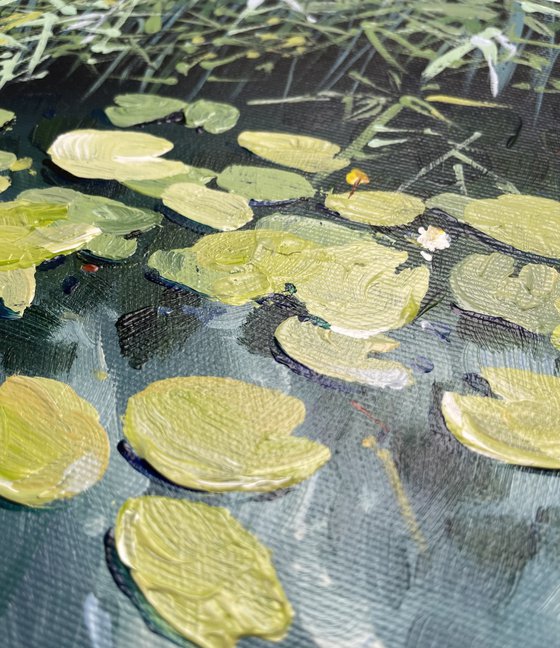 Water lilies.Twilight on the pond.The bay pond