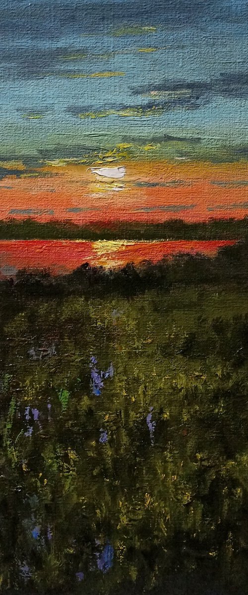 A quiet evening by the river by Oleh Rak