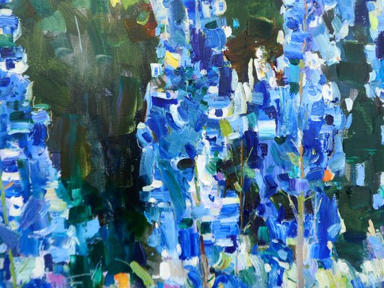 " Lupines in my garden"