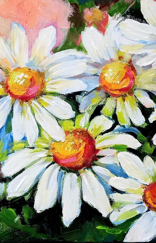 Daisies by Kovács Anna Brigitta