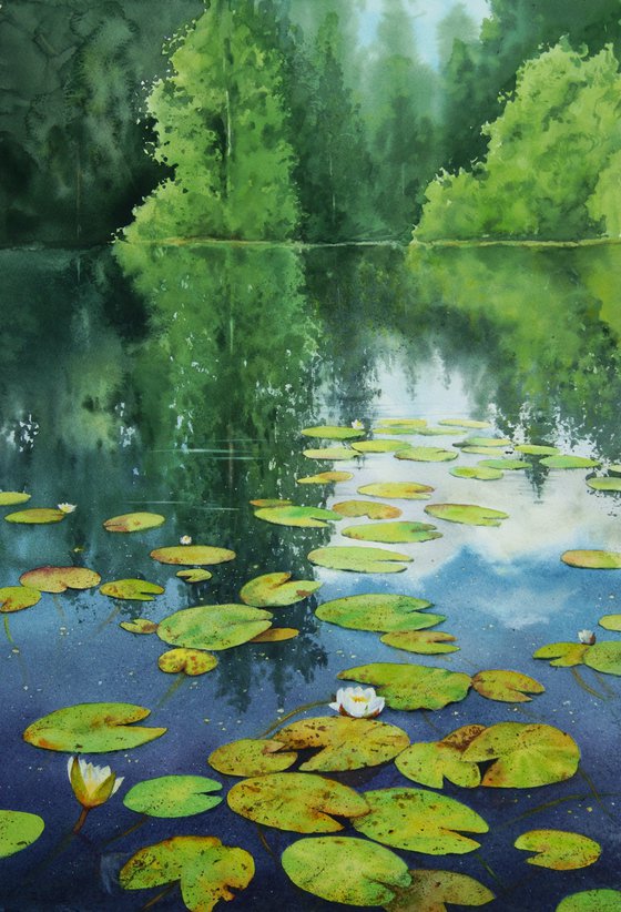 Lily Pad - Water Lilies - Lily painting - Water lilies - Water Lily Pond -  waterlily lake