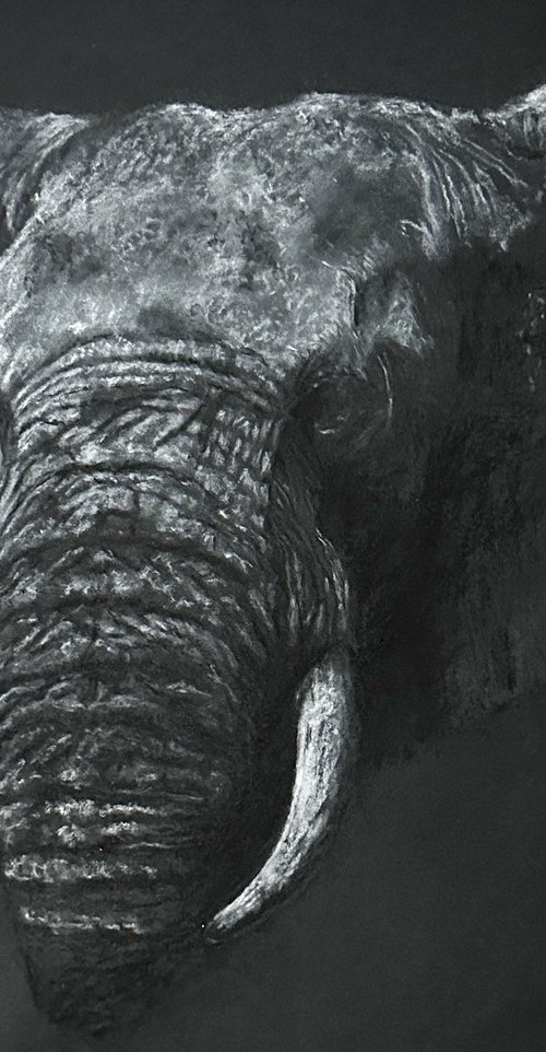 Presence by Paul Hardern