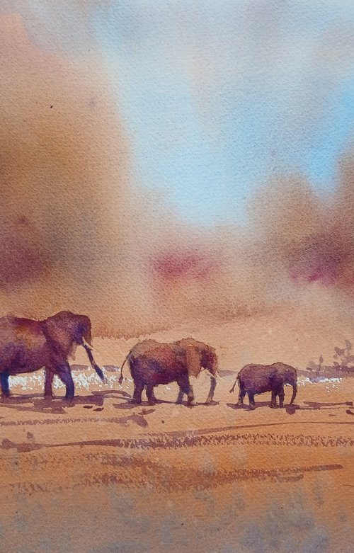 elephant 28 by Giorgio Gosti