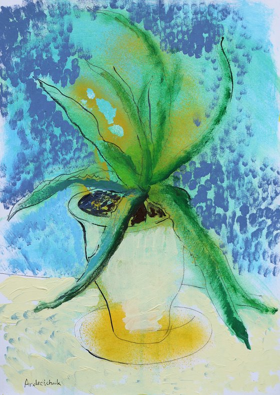 Aloe
