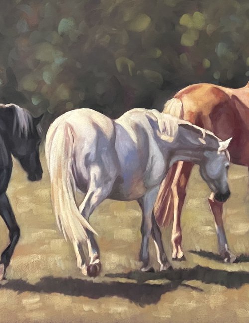 Heading For Shade - Horses by Lorna Lancaster ASEA