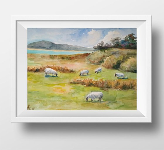 Scottish landscape with sheep