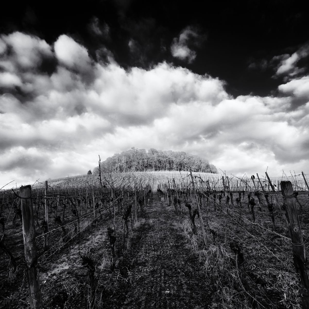 Christian Schwarz | Original  Photograph | The Split | 40 X 40Cm | Artwork For Sale On Artfinder