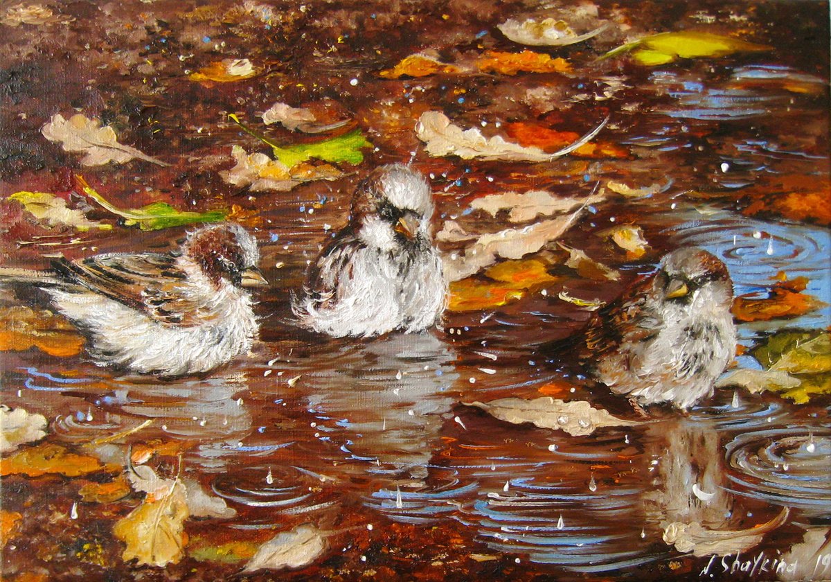 Sparrows swimming in a puddle, Original Oil Painting by Natalia Shaykina