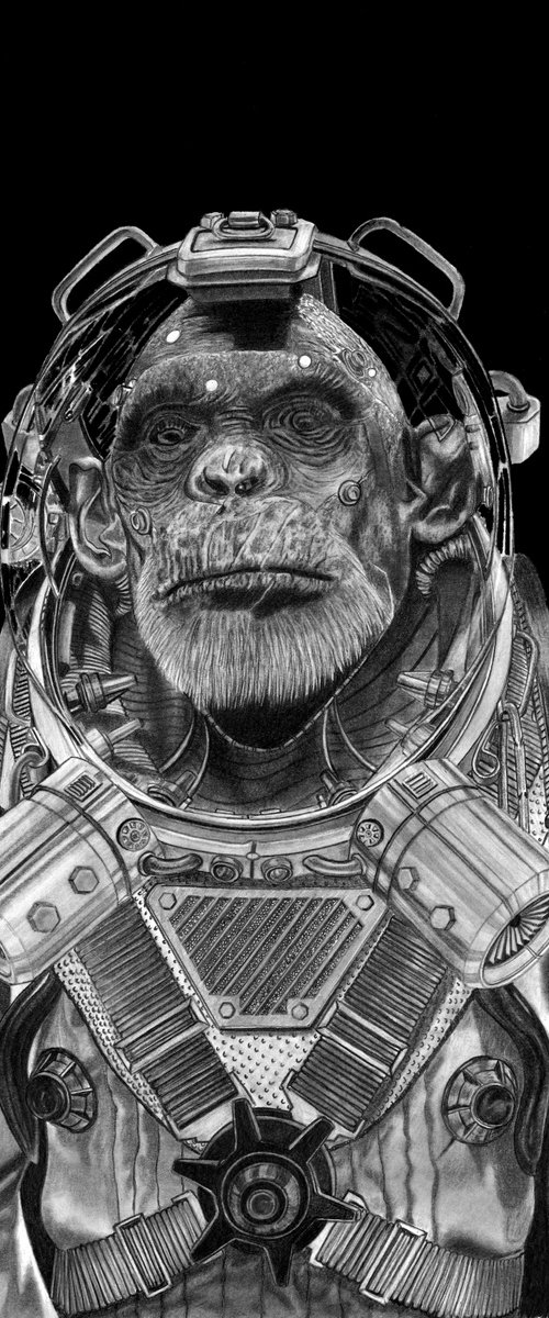 Space Chimp by Paul Stowe