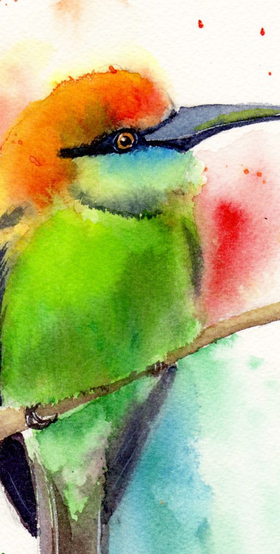 Australian rainbow bee eater Original Watercolor Painting