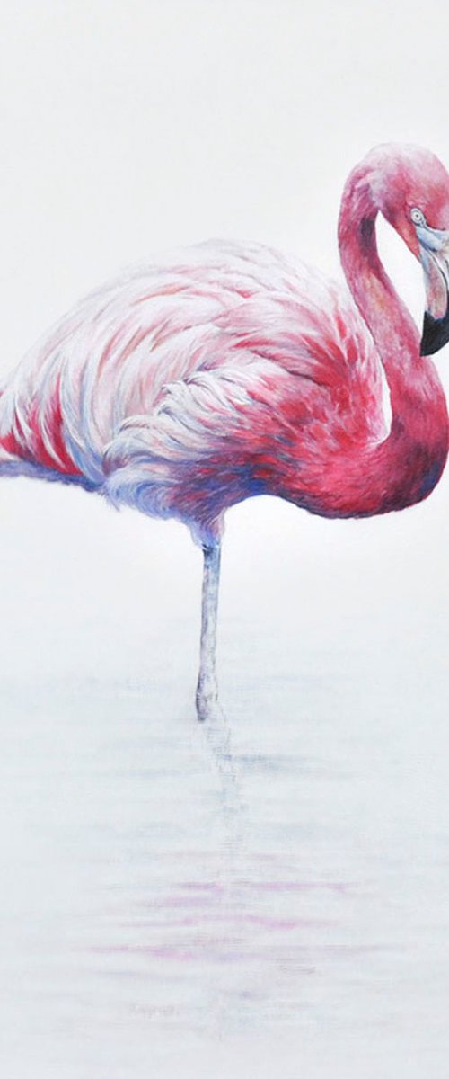 Pinky by Vicky Palmer