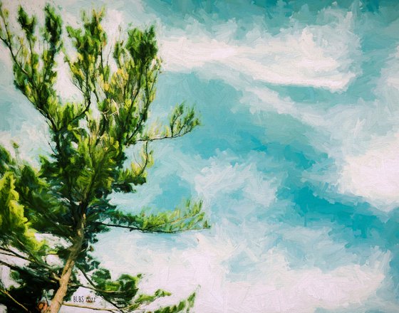 Pine Tree by the Lake, Port Franks