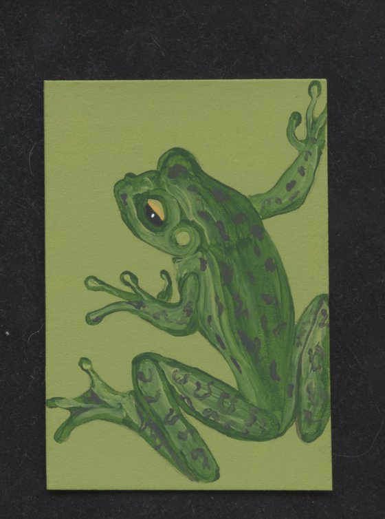 ACEO ATC Original Miniature Painting Frog Wildlife Art-Carla Smale