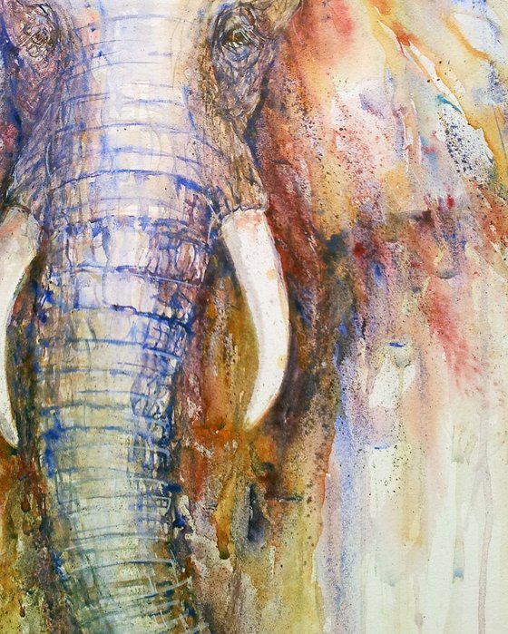 Splendour_ the Elephant Portrait