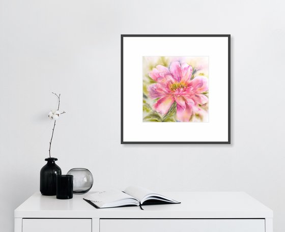 Peony. Pink flower watercolor painting