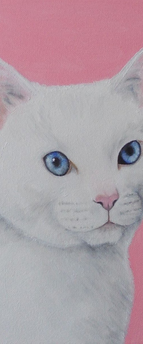 Mishi by Nagore Rodriguez