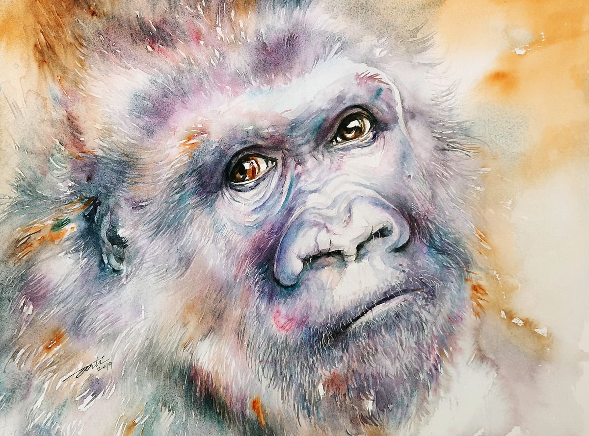 Pete_Gorilla Watercolor by Arti Chauhan