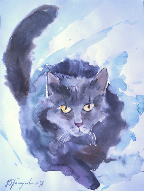 cat in the snow by Yuliia Pastukhova