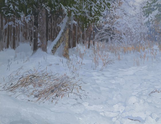 Winter forest