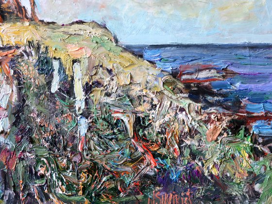 Coastal pines.