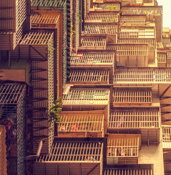 Caged Skies