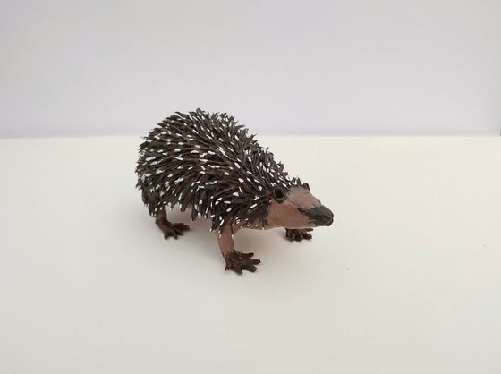 European hedgehog 2