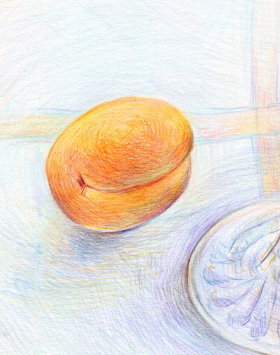 Colored pencils drawing of still life with apricots