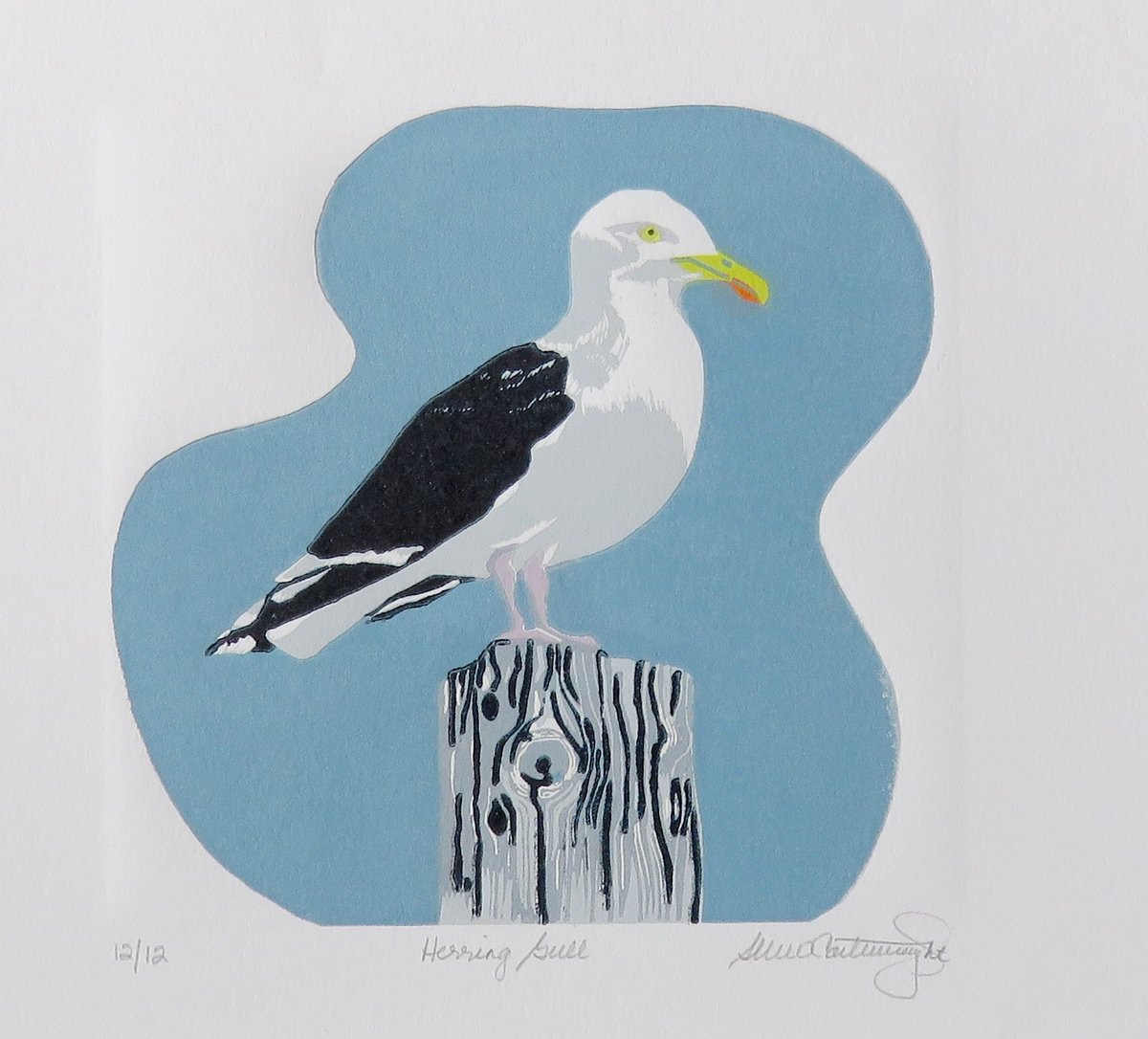 Herring Gull by Susan Cartwright