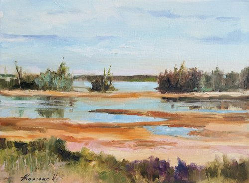 By the salt marshes (12x16×0.7") by Alexander Koltakov
