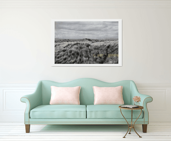 Beach grass (large)