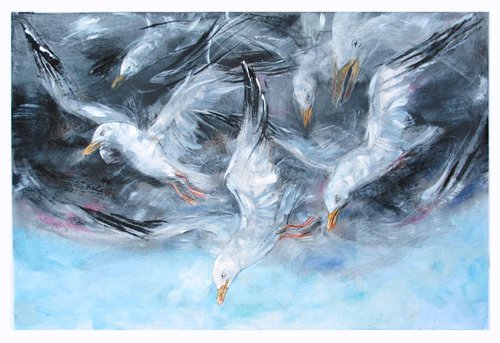 Cloud, Gulls by John Sharp