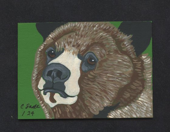 Brown Bear