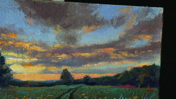 Sunset Over Wildflowers Field