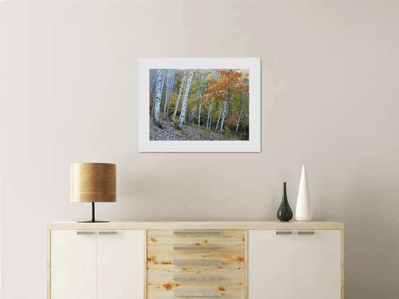 Autumn Colors #5