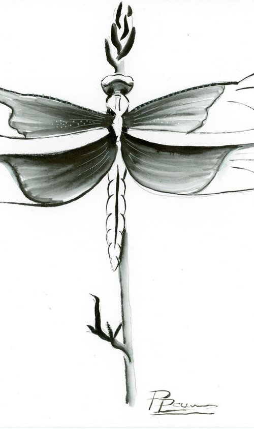 Dragonfly by Olga Tchefranov (Shefranov)