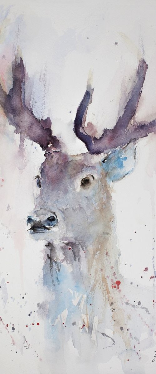 Stag 4 by Tomasz Mikutel