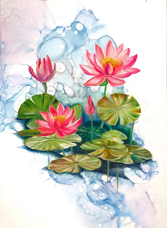 Lotus Bloom in Dreamy Waters