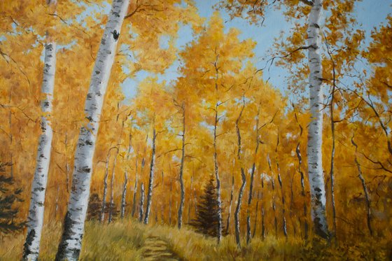 Autumn in Birch Forest