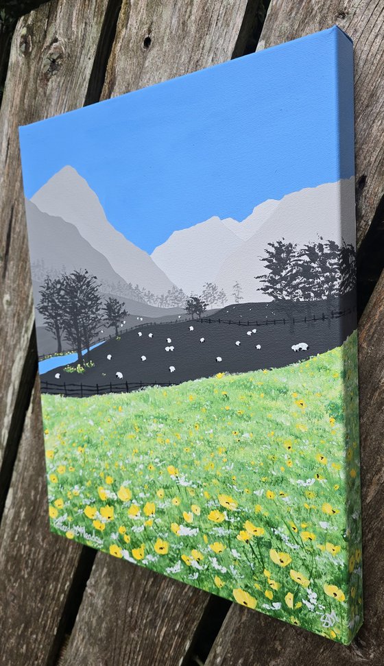 Patterdale Meadow
