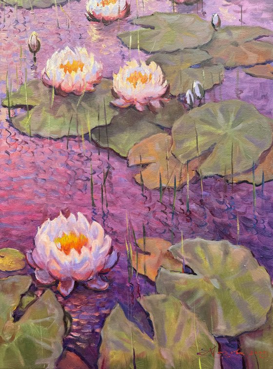 Lily Symphony