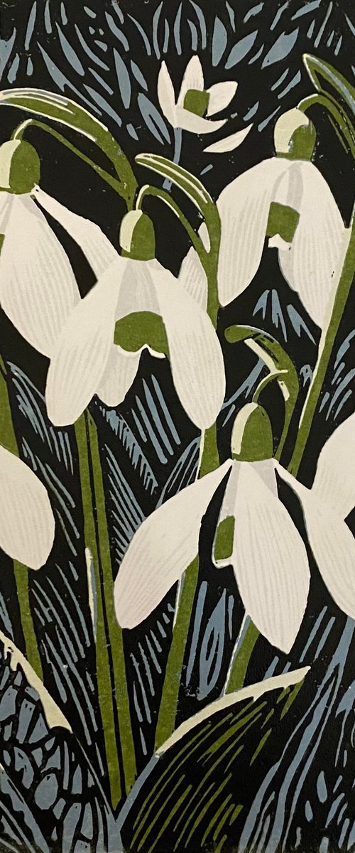 Snowdrops by Joanne Spencer