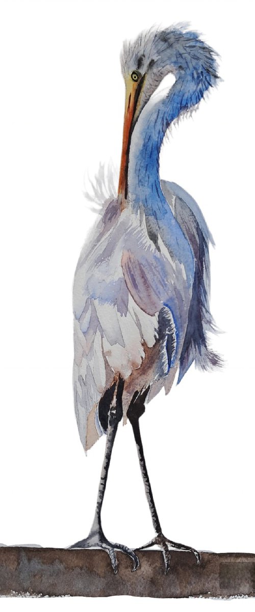 White Strok Heron by Yuliia Sharapova