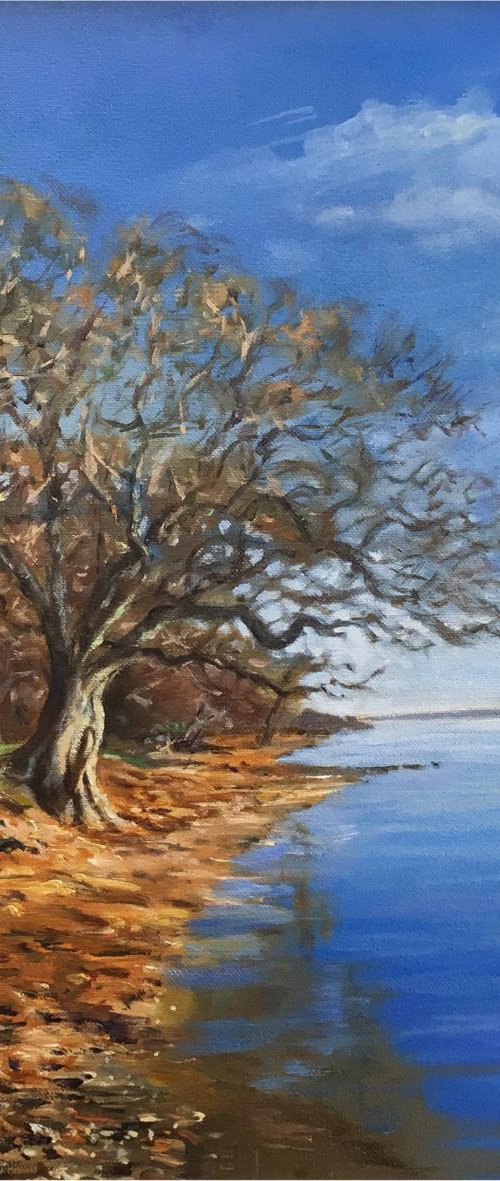 Spring Tide, New Forest Shore {two} by Peter Frost