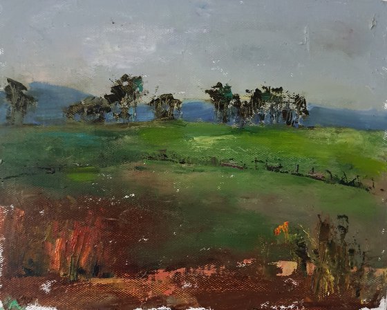 Trees in the distance