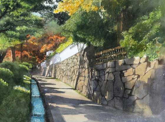 Sunlight through the Trees in Sakamoto, Shiga