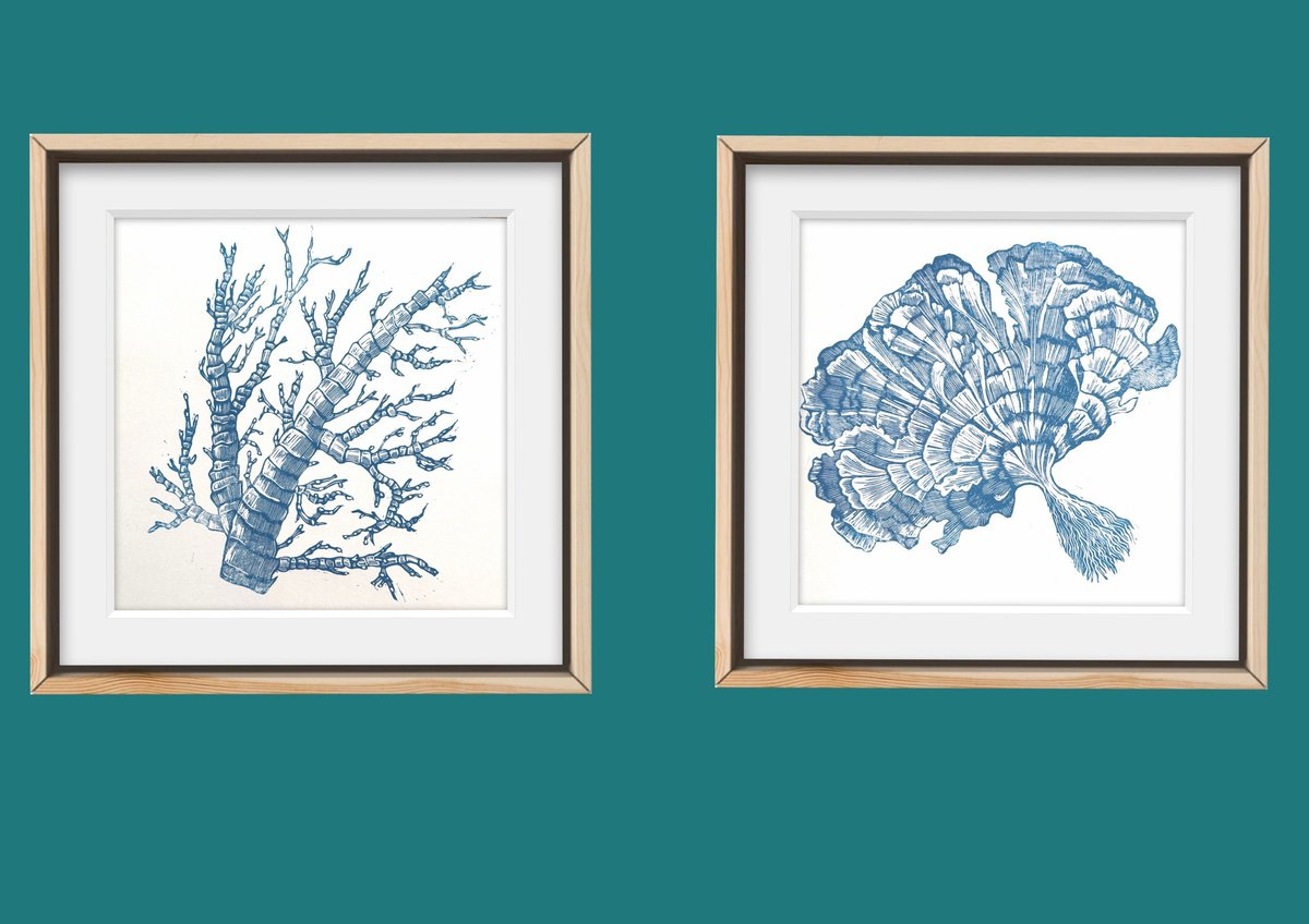 Illustrative Linocut , Blue Coral By Amy Cundall, 12 X 12, Artwork For Sale On Artfinder