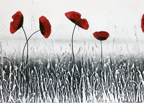 Iced Poppies by Carol Wood