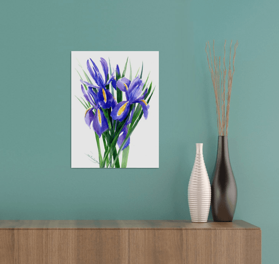 Blue Iris Flowers